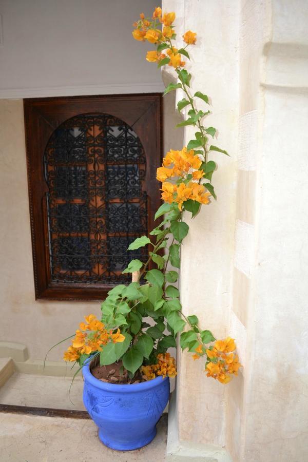 Riad Riva Marrakesh Extérieur photo